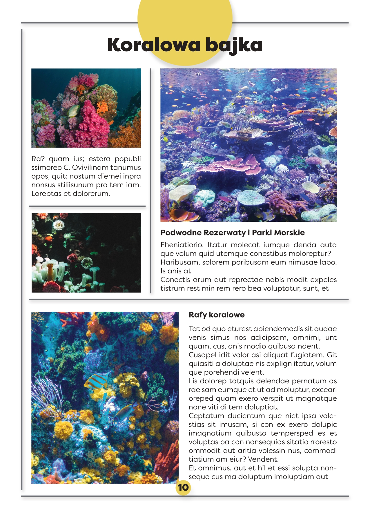 katalog